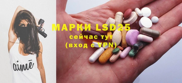 хмурый Алзамай