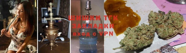 хмурый Алзамай