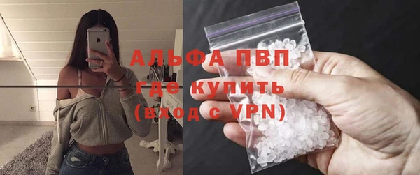 хмурый Алзамай