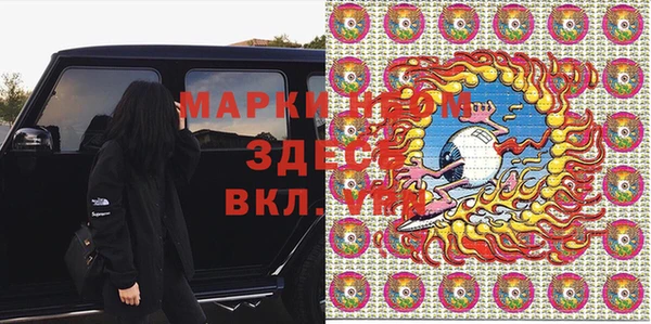 хмурый Алзамай